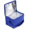 Shentian Small Cool Bag Cool Box Blue Lunch Bags /