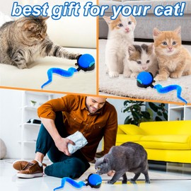 Interactive Cat Toy for Indoor Cats, Smart Rolling Ball For Pet, Electric Automatic Cat Toys for Indoor Cats, Moving Cat Toys, Electric Automatic Cat Toys For Indoor Outdoor Small Cats (blue)