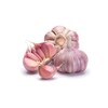 DESODORATED GARLIC * 60 CAPSULES * Concentrated extract of deodorised
