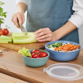Rotho Tresa Bowl Lid, Food Grade Plastic (PP), BPA-Free, Blue/Transparent, 1.02 L, 18.2 cm