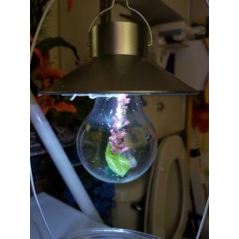 one LED light bulb enclosures 4 H " x 2.5 "W for spider or other insects