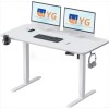 48*24 Inch Electric Height Adjustable Desk,Standing Desk , Computer Desk