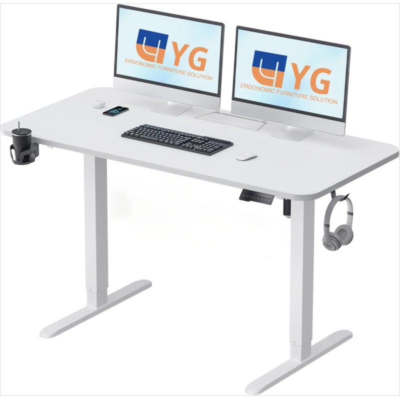 48*24 Inch Electric Height Adjustable Desk,Standing Desk , Computer Desk