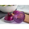 Tulz Canned-and-Jarred-Onions, 4 x 4 x 3.5 inches, Purple, (37051)
