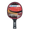 Donic-Schildkröt Protection Line S300 Table Tennis Bat with Protection Against