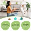 Happy Companion | Dog Treat Ball Dispenser | Interactive Natural