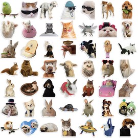 50 Pcs Cat and Dog Meme Stickers for Kids Teens Adults Boys Girls Gift,Meme Stickers Pack for Laptop,Skateboard,Luggage,Car,Bike, Cup,Computer,Water Bottle Decor,Vinyl Waterproof Sticker Decals