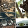 CAMPINGMOON 2pcs/4pcs Set Stainless Steel Camping Sierra Cup 310ml (4pcs