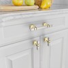 Asidrama 10 Pack 3 Inch(76mm) Brushed Satin Nickel and Gold