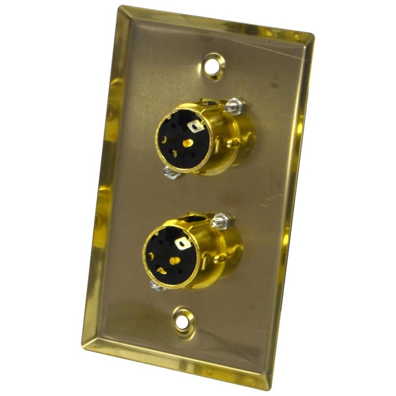 Seismic Audio SA-PLATE18 Gold Stainless Steel Wall Plate with Dual