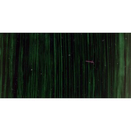 Michael Harding Artist Oil Colours, Permanent Sap Green, 40ml Tube, 21740
