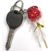 Food Sample Keychain: Irresistibly Yummy Candied Apple 167OK
