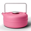 Toptier Teapot with Removable Infuser, Cast Iron Tea Kettle Stovetop