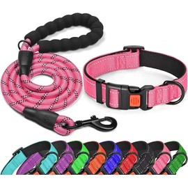 IMKRC Dog Collar - Adjustable Puppy Collars Dog Collar Medium Collars, Harnesses & Leads for Dogs Detachable with Safety Locking Buckle- shock collar for dogs Puppy Lead (XS 10-12 inches, Pink)