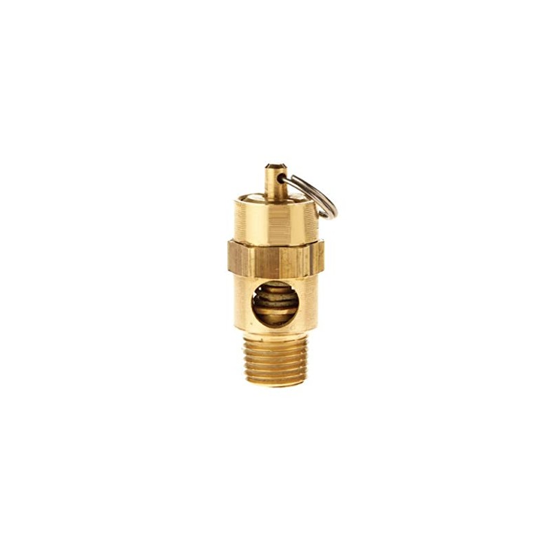 TOPRING 09.310 ASME Brass Compressed Air Safety Valve, 1/4(M) NPT