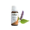 Meraki Essentials 100% Pure & |Natural|Patchouli Essential Oil 10 ml|Great