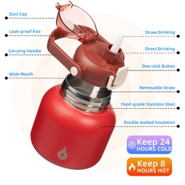 BJPKPK Insulated Water Bottles with Straw, 20 oz Cute Water Bottles with Handle, BPA Free Stainless Steel Metal Thermos, Easy Carry Thermos for Men & Women, Red