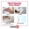 qt Zinsser 276087 White Zinsser, Mold Killing Primer Water-Based Mold