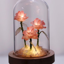Sofyee Peony Night Light Gift, Rose Gift for Women, Birthday Gift for Women, Lantern Gift for Mom and Grandma, Pink Peony Flower Gift for Mother's Day, Anniversary, Wedding, Christmas