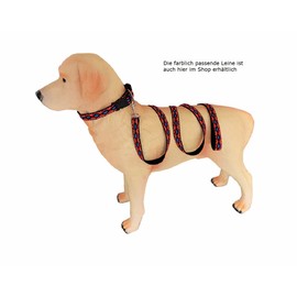 BUDDYPACK Trendy Dog Collars with Click Fastener Adjustable Size XS - XL Many Colourful Colours (XS (25-40 cm), Black-Orange-Red-Blue)