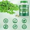Moringa Capsules | 800mg Pure Moringa Powder Capsules – Supports