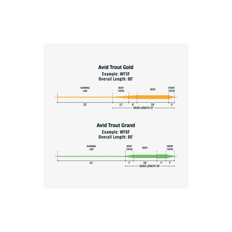 RIO AVID Trout Grand Fly Line - WF7