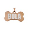 Placa de Identificación para Perros, Acero Inoxidable, (, Oro Rosado)