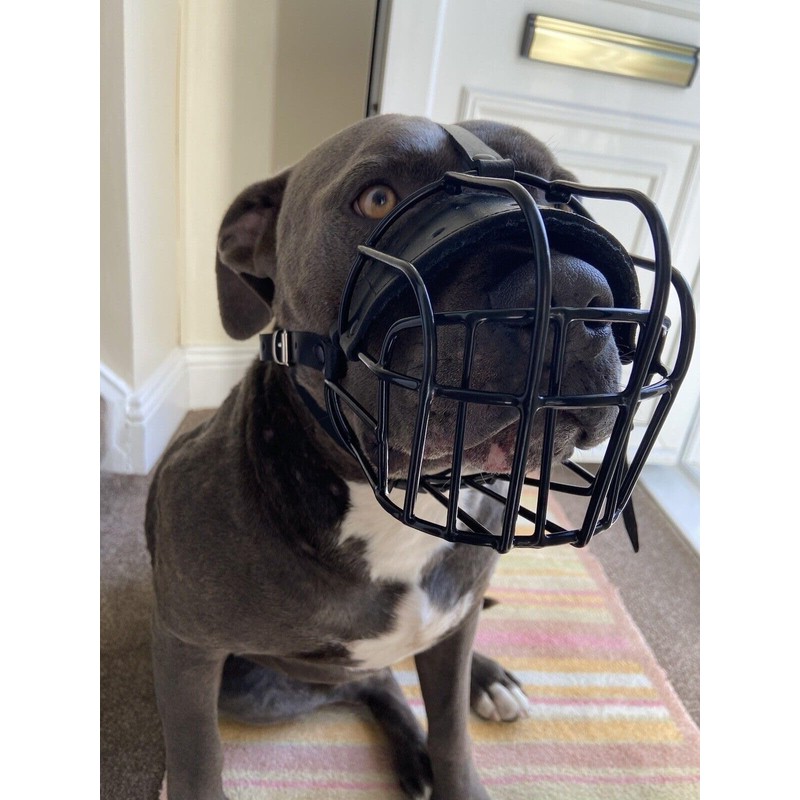 Strong Metal Wire Basket Dog Muzzle for American Bully (BA,