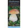 Mushrooms of New England Maine, New Hampshire, Vermont, Massachusetts, Rhode
