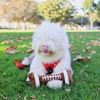 Lulubelles Power Plush FOOOTBALL Bone-L