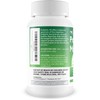 Pro Clear Mood Plus - Probiotic Brain & Mood Support