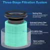 Tailulu D10 Replacement Filter,Air Purifier Filter for Tailulu D10 Air