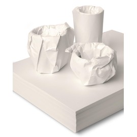 Star Online 250 x Eco Friendly A3 Newspaper Print Offcuts Packing Paper For Moving House Essentials Chipshop Paper Sheets 53gsm