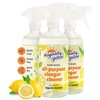 Originally Yellow Lemon Vinegar All Purpose Cleaning Spray | Distilled