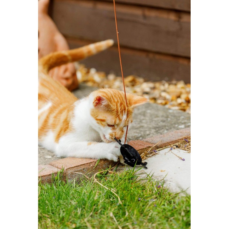 Petface Catnip Spider Teaser Interactive Cat Toy