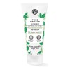 Mascarilla Facial Piel Grasa Yves