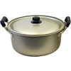 AKAO Double Handed Pot, 10.2 inches (26 cm), Gold