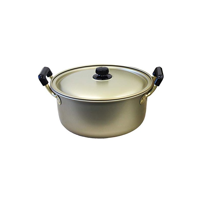 AKAO Double Handed Pot, 10.2 inches (26 cm), Gold
