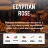 Laundry Sauce - Laundry Dryer Sheets (Egyptian Rose), Luxury Fragrance,