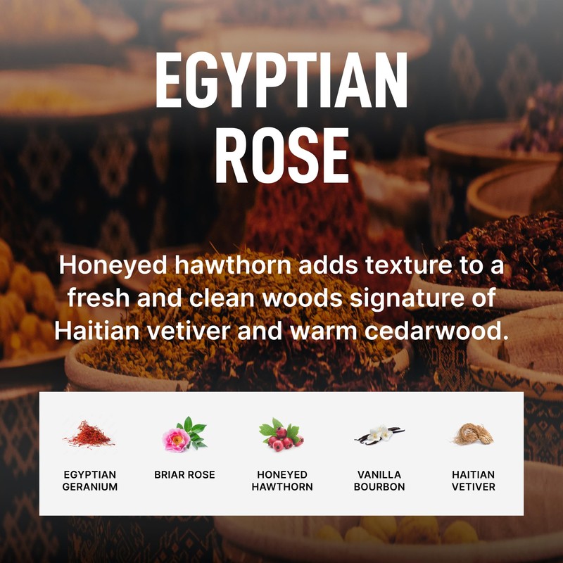 Laundry Sauce - Laundry Dryer Sheets (Egyptian Rose), Luxury Fragrance,