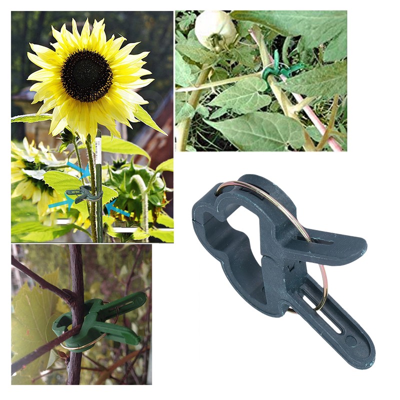 100PCS Plant Support Clip Plant Clamp Garden Binding Clip Grafting