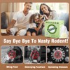 Natural Peppermint Oil Rodent Repellent Balls - 8 Pack