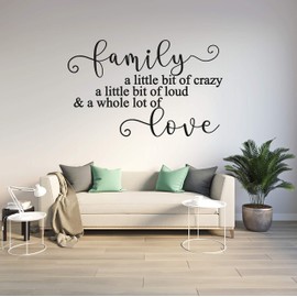 Family a Little but of Crazy - a Little bit of Loud and a Whole lot of Love - Fun - Family - Love - Crazy - Wall Art Vinyl Decal Sticker Made in USA