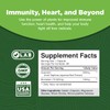 Immune Support Quercetin with Bromelain Supplement - Quercetin 500mg &
