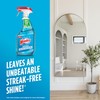 Windex Glass and Window Cleaner Spray Bottle, Packaging Designed to