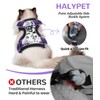 Halypet Cat Harness and Leash Set for Walking, Escape Proof