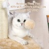 ANWA 32 Tall Cat Scratching Posts for Indoor Cats 3-in-1