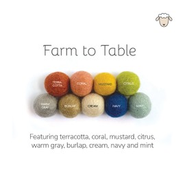 "Farm to Table" Handmade Felt Ball Garland by Sheep Farm Felt- Rustic Rainbow Pom Pom Garland. Choose Length