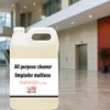 All Purpose Cleaner Gallon | Multi-Surface Concentrated Cleaning Solution |