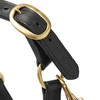 KM Elite Padded Leather Head Collar Medium Black